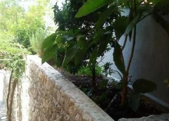 Maestral Ventus By Interhome Apartman Makarska