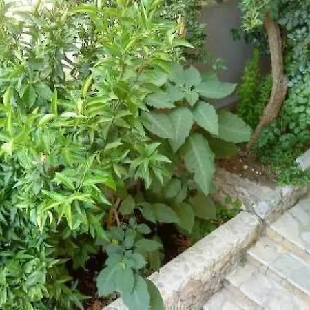 Maestral Ventus By Interhome Daire