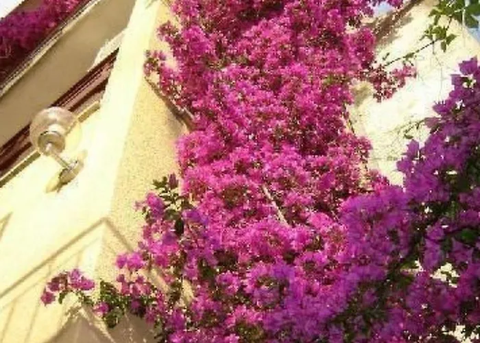 Daire Maestral Ventus By Interhome