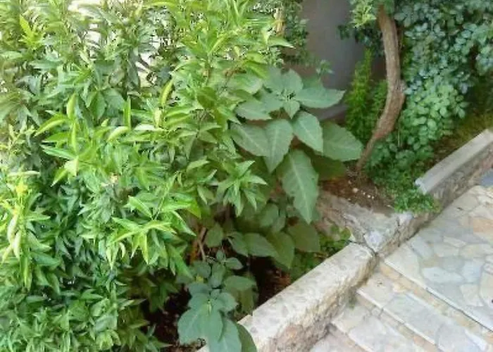 Maestral Ventus By Interhome Daire