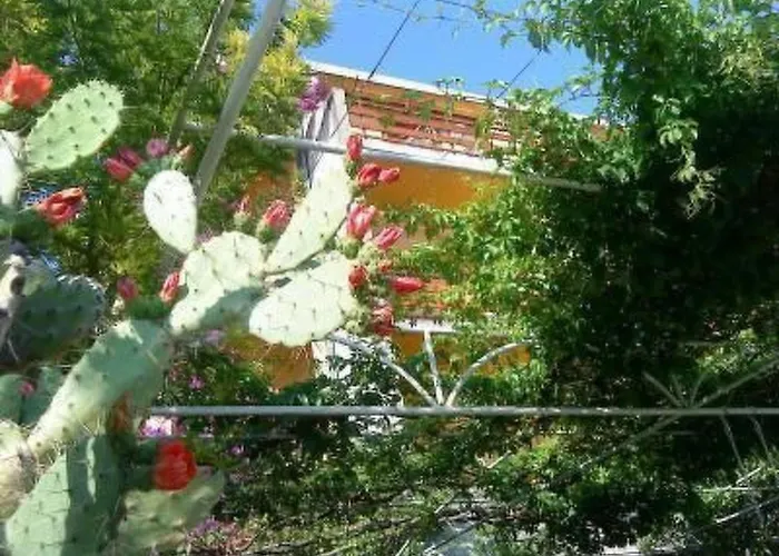 Maestral Ventus By Interhome Daire *