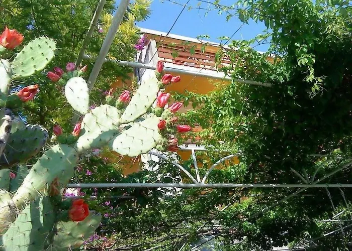 Maestral Ventus By Interhome Daire *